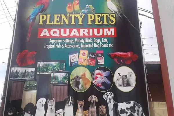 Image of: Plenty Pets Aquarium